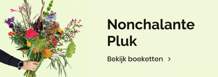 Nonchalant pluk bloemen veldboeketten Sommelsdijk