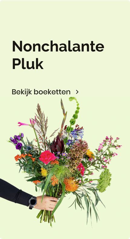 Nonchalant pluk bloemen veldboeket Waalwijk